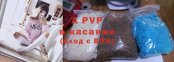 крисы Дмитриев